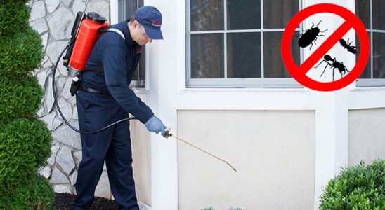 Dodurga Bit İlaçlama böcek ilaçlama ve haşere kontrolü — ilaclama-tr.com